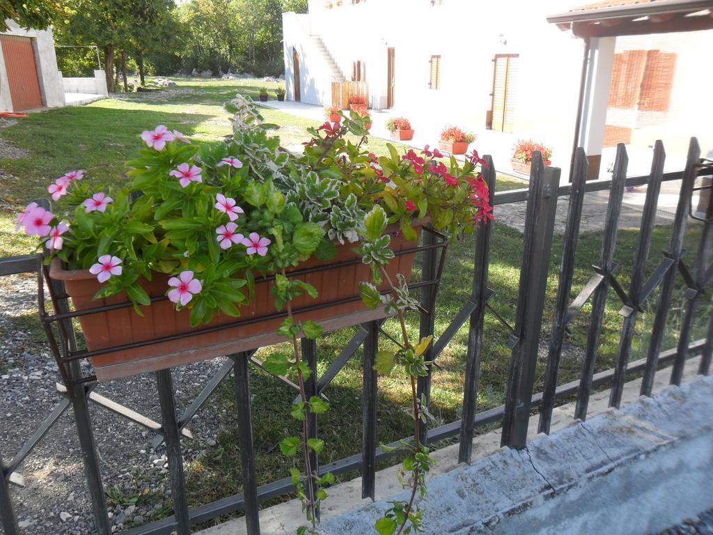 Apartmani Bartulasi Roč Exterior foto